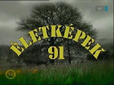 Életképek (2004) - Stream Online