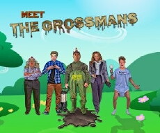 The Grossmans (2017) - Stream Online
