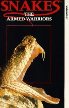Snakes (1974) - Stream Online