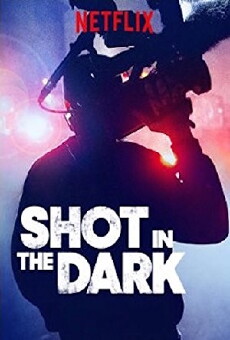 Shot in the Dark (2017) - Stream Online