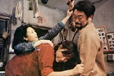 Bei guo hong dou (1984) - Stream Online