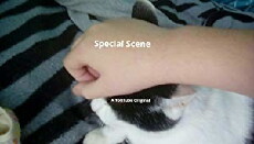 Special Scene (2017) - Stream Online