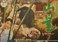 Flames in the Valley (1967) - Stream Online