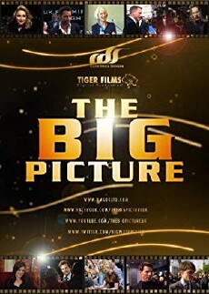 The Big Picture (2011) - Stream Online