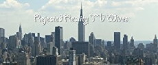 Rejected Reality TV Wives (2016) - Stream Online