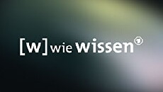 [W] wie Wissen (2003) - Stream Online