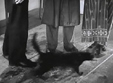 Lightning Strikes Twice (1934) - Stream Online