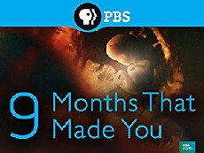 9 Months That Made You (2016) - Stream Online