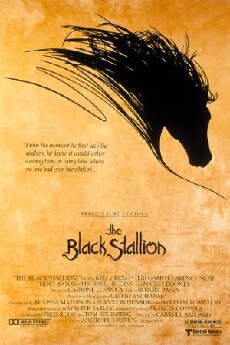 The Black Stallion (1979) - Stream Online