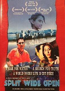 Split Wide Open (1999) - Stream Online