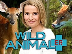 Wild Animal ER (2008) - Stream Online