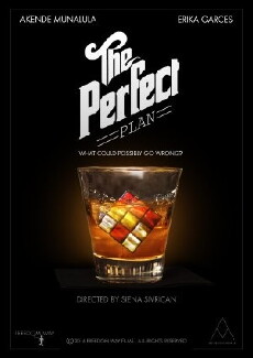 The Perfect Plan (2016) - Stream Online