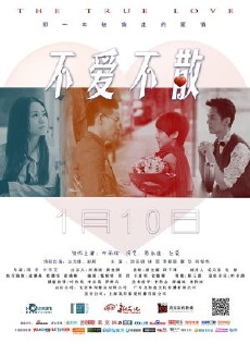 The True Love (2014) - Stream Online