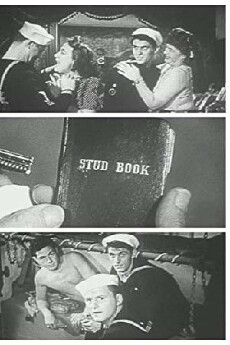 USS VD: Ship of Shame (1942) - Stream Online