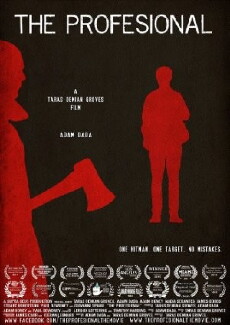 The Profesional (2015) - Stream Online