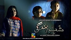 Shab e Zindgi (2014) - Stream Online