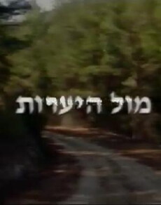 Facing the Forest (1999) - Stream Online