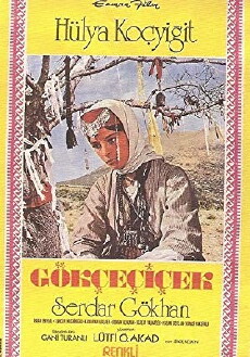 Gökçe çiçek (1972) - Stream Online