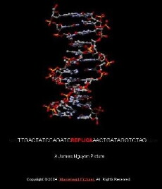 Replica (2005) - Stream Online