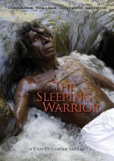 The Sleeping Warrior (2012) - Stream Online