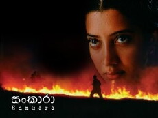 Sankara (2007) - Stream Online
