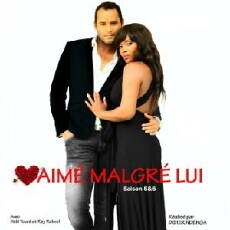 Aimé malgré lui (2013) - Stream Online