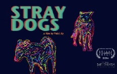Stray Dogs (2015) - Stream Online