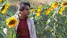 Sarikend (2013) - Stream Online