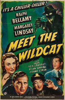 Meet the Wildcat (1940) - Stream Online