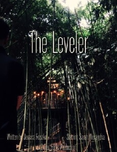 The Leveler (2017) - Stream Online