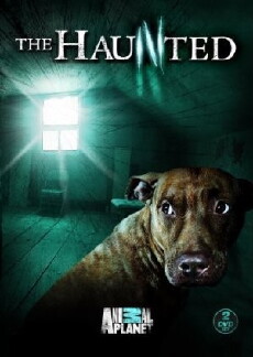 The Haunted (2009) - Stream Online