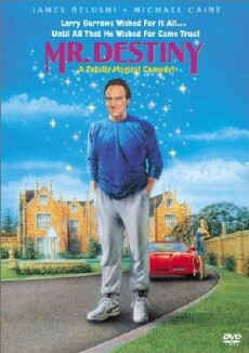 Mr. Destiny (1990) - Stream Online