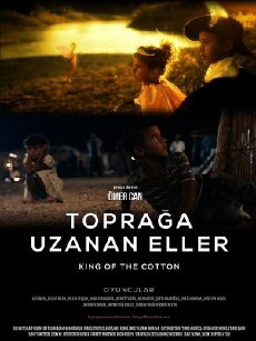 King of the Cotton (2013) - Stream Online