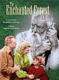 The Enchanted Forest (1945) - Stream Online