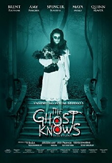 The Ghost Knows (2017) - Stream Online
