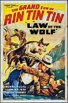 Law of the Wolf (1939) - Stream Online