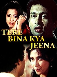 Tere Bina Kya Jeena (1989) - Stream Online