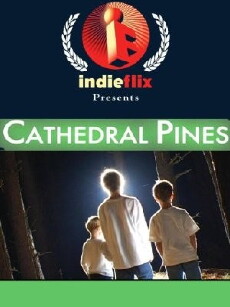 Cathedral Pines (2006) - Stream Online