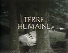 Terre humaine (1978) - Stream Online