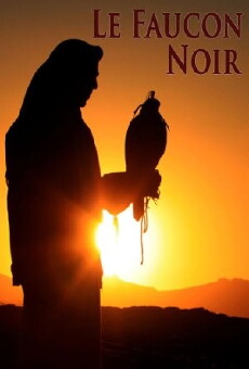 Le Faucon Noir (2011) - Stream Online