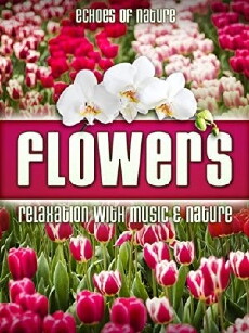 Flowers (2010) - Stream Online