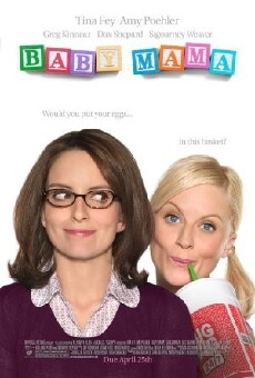 Baby Mama (2008) - Stream Online