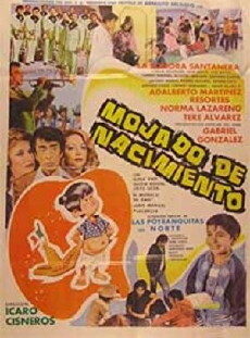 Mojado de nacimiento (1981) - Stream Online