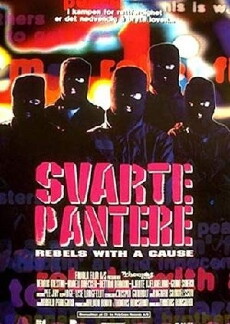 Svarte pantere (1992) - Stream Online