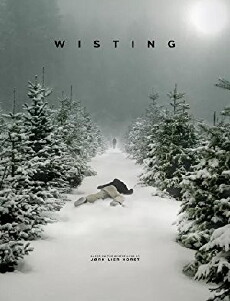 Wisting (2019) - Stream Online