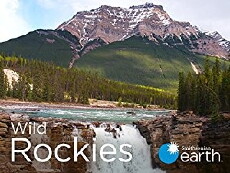 Wild Rockies (2016) - Stream Online