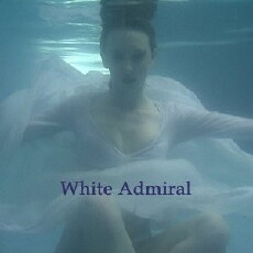 White Admiral (2011) - Stream Online