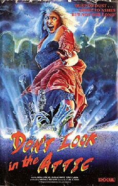Don't Look in the Attic (1982) - Stream Online