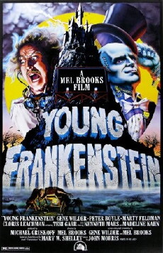 Young Frankenstein (1974) - Stream Online