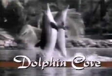 Dolphin Cove (1989) - Stream Online